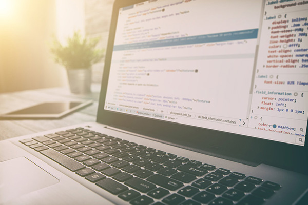 網(wǎng)站如何建立